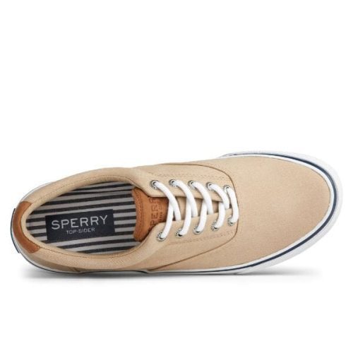 striper ii cvo salt washed canvas chino casual sperry 310679